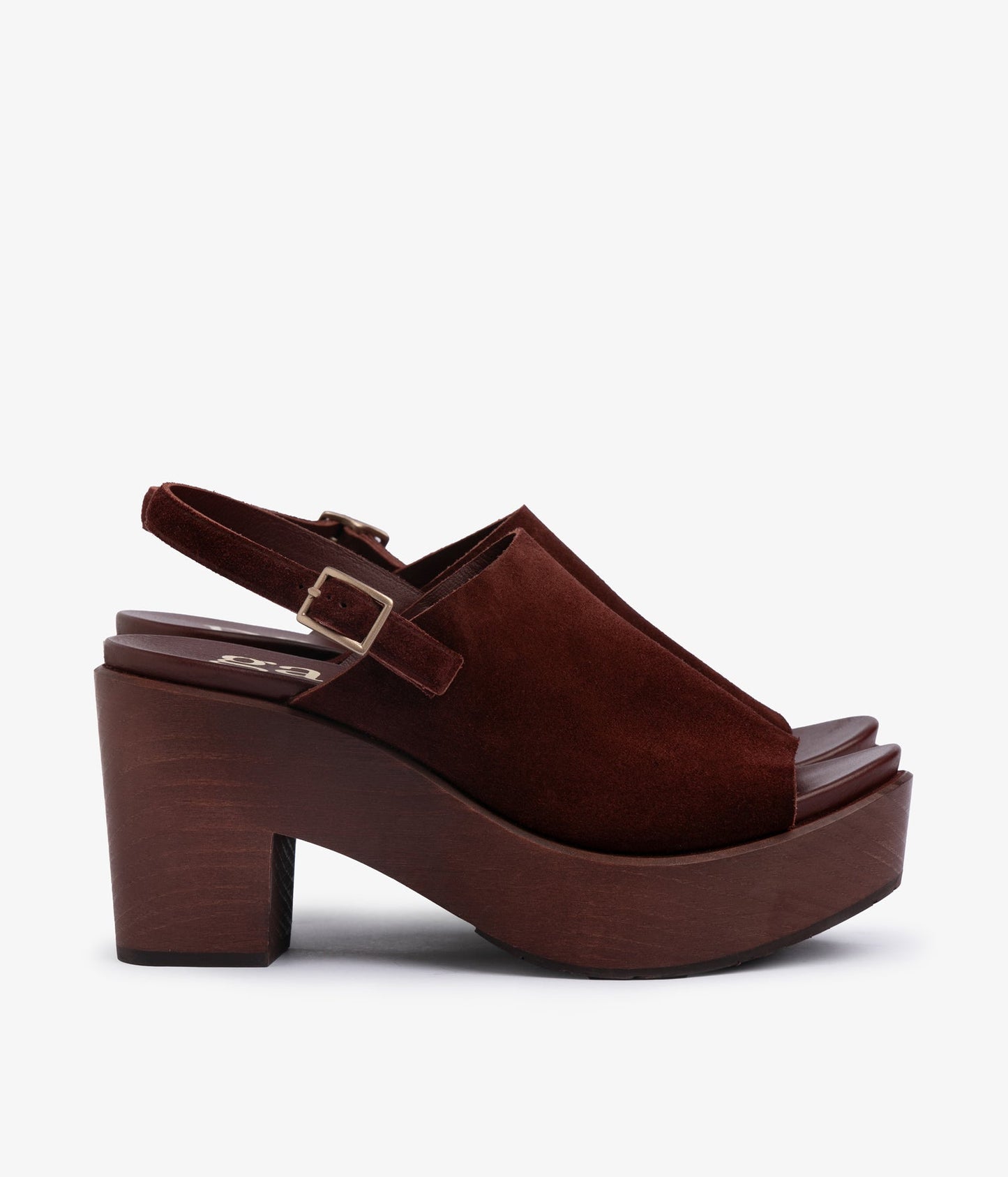 daura / brunette castoro-brunette pine