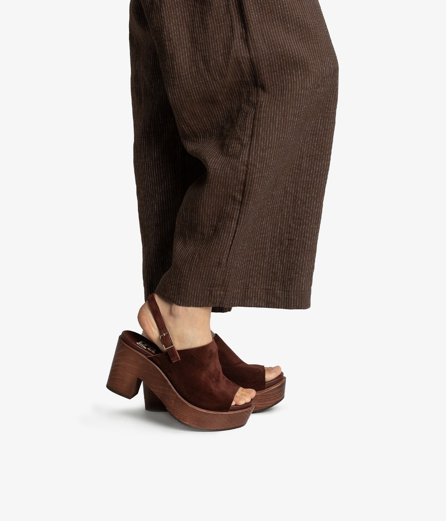 daura / brunette castoro-brunette pine