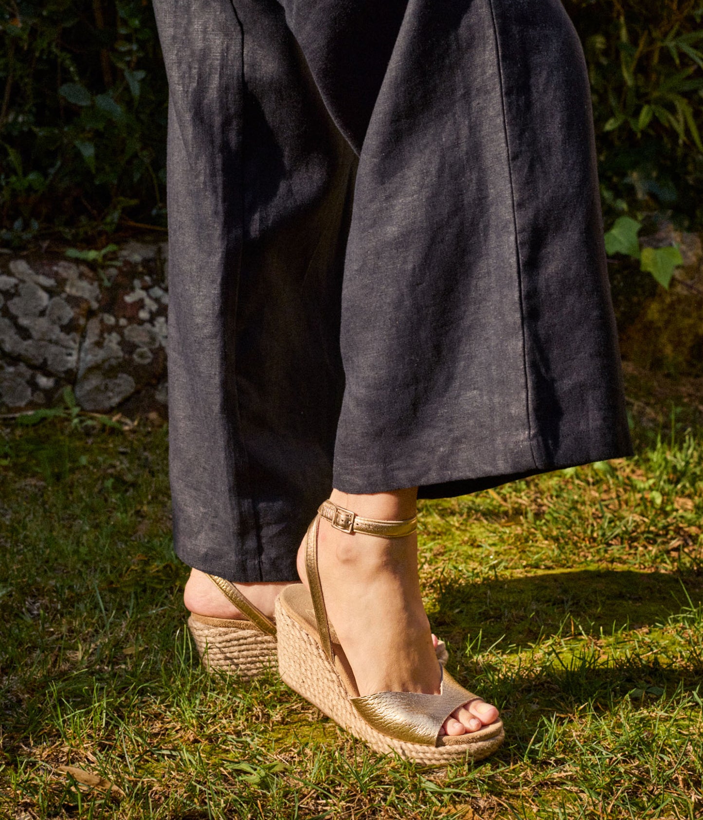 afra / gold cervo