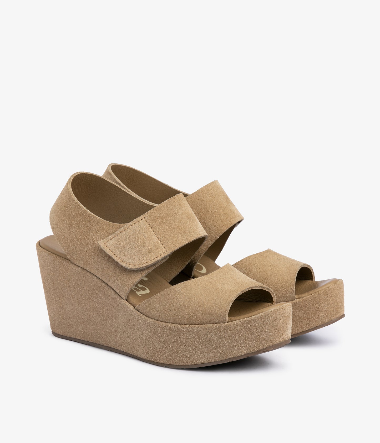 helen / dijon castoro