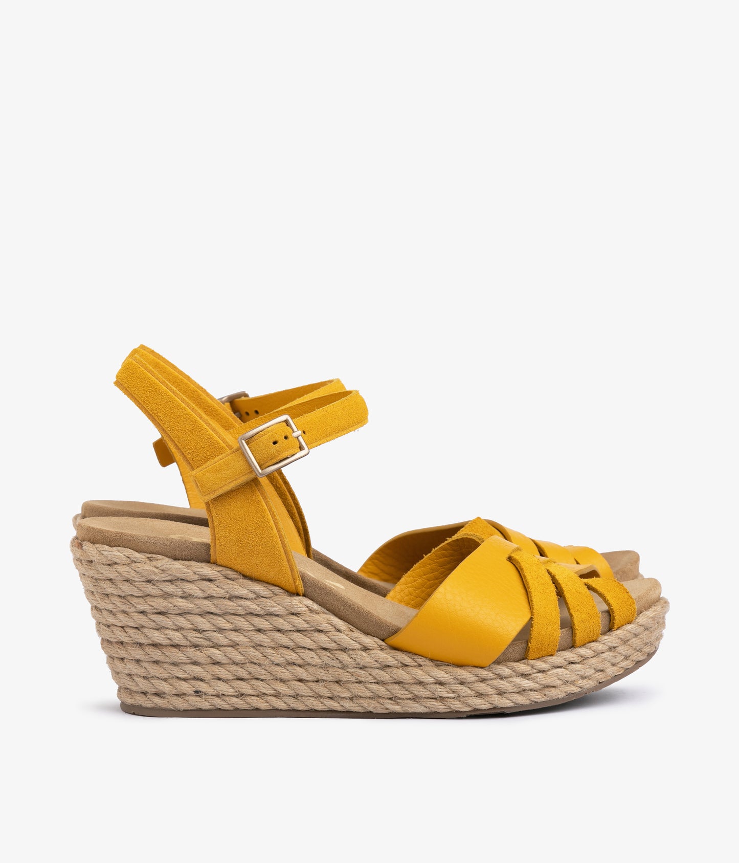 angelina / mimosa castoro