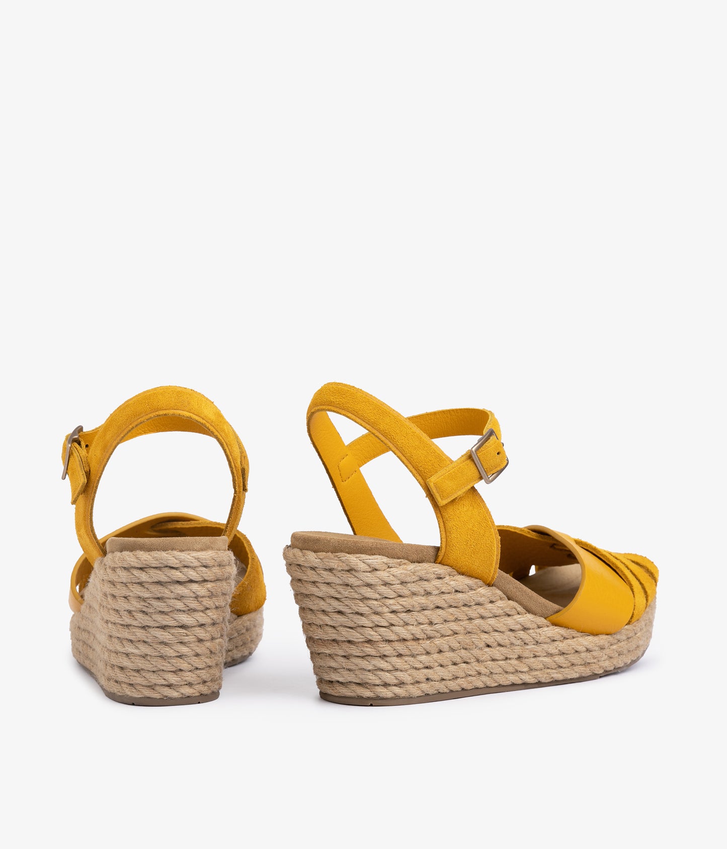 angelina / mimosa castoro