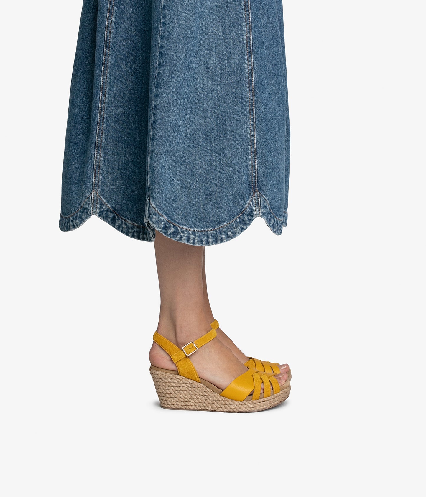 angelina / mimosa castoro