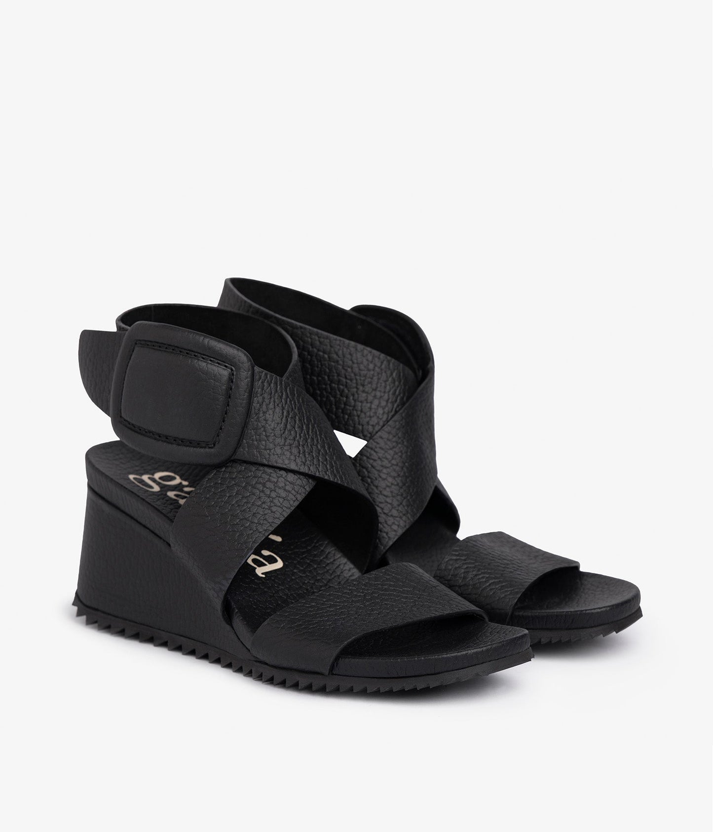 cande / black cervo
