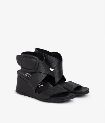 cande / black cervo