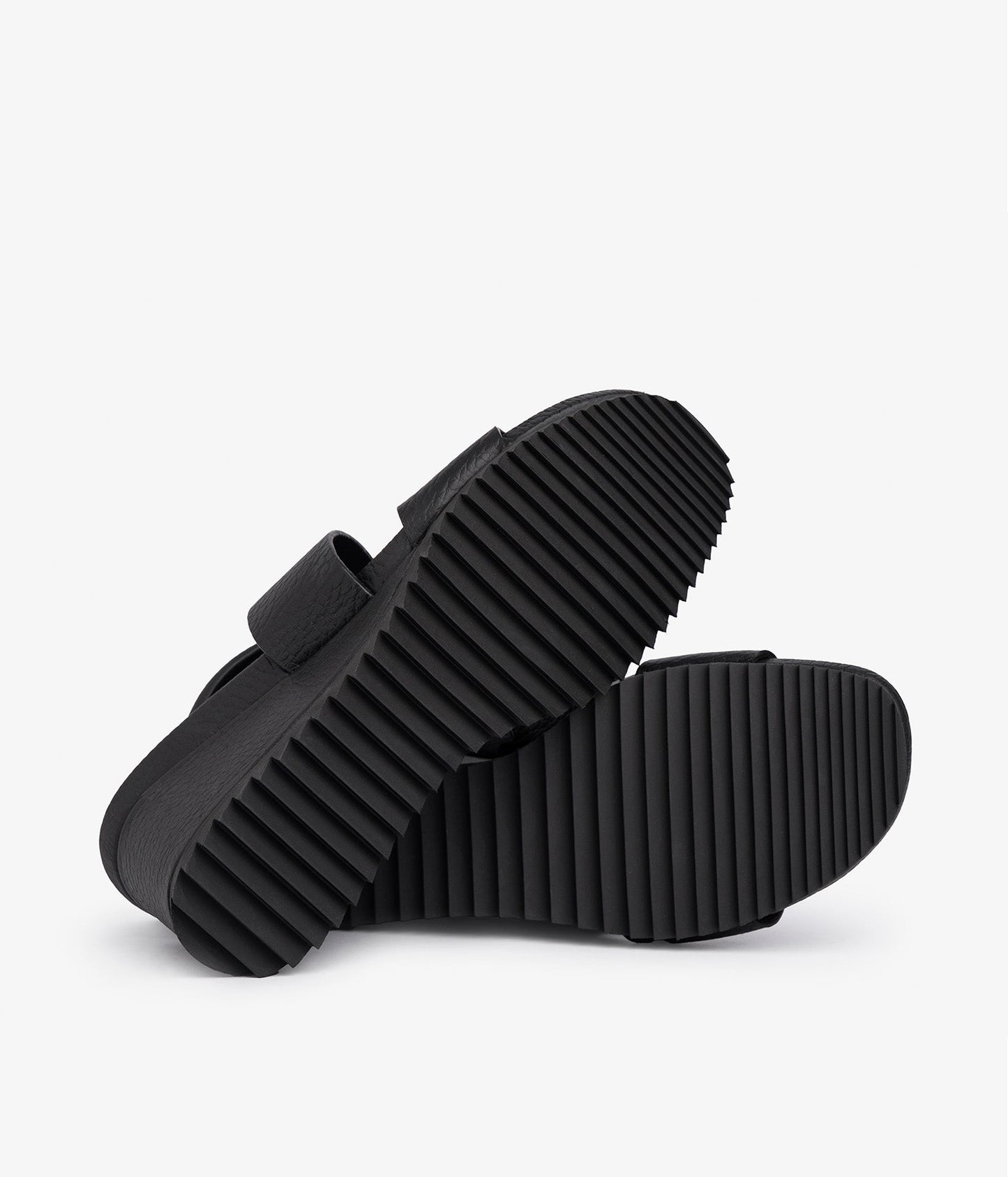 cande / black cervo