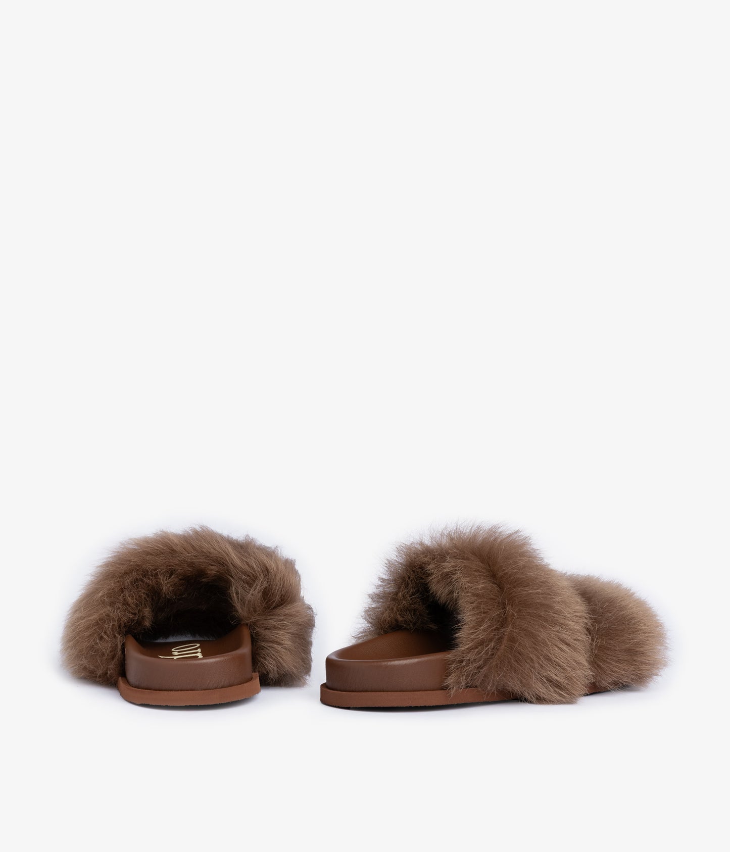 duska / chestnut churra