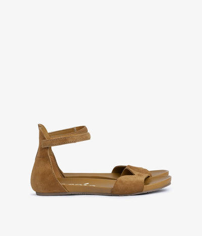 jela / alpaca castoro