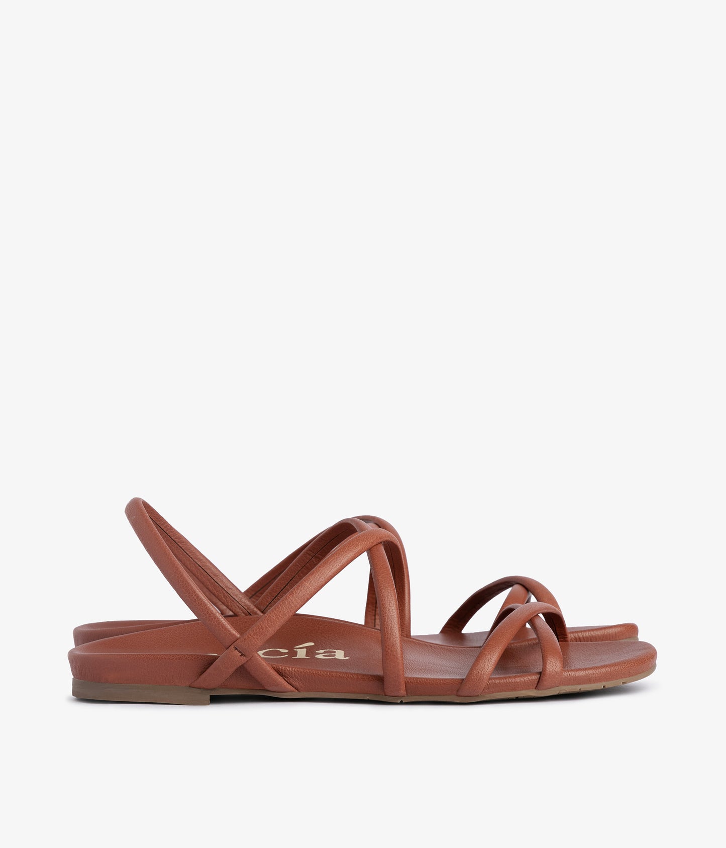 biddy / brick caprine