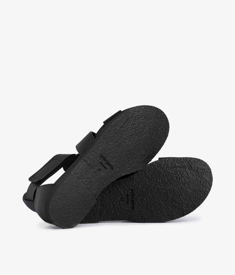 jesica / black cervo