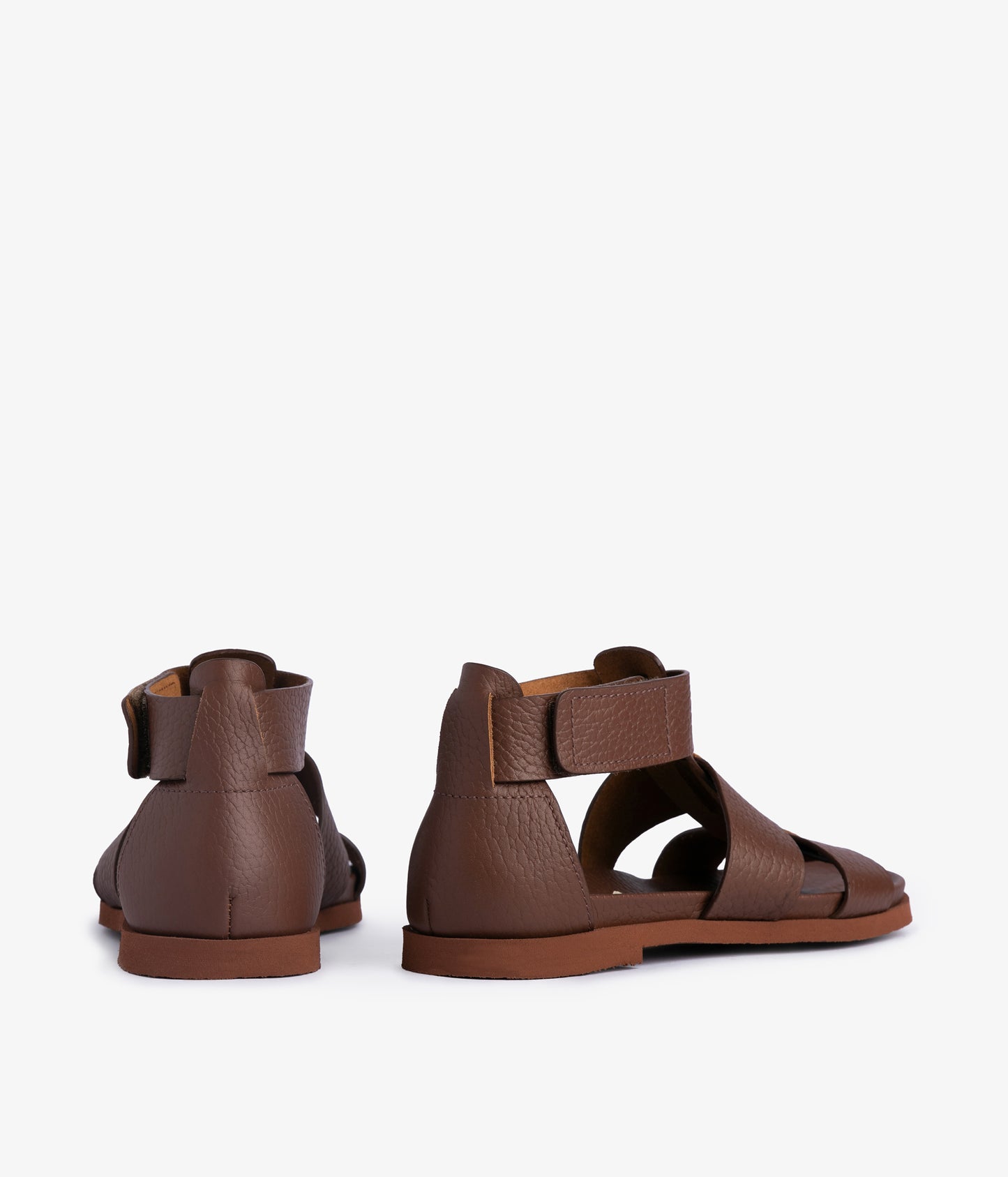 jesica / chestnet cervo