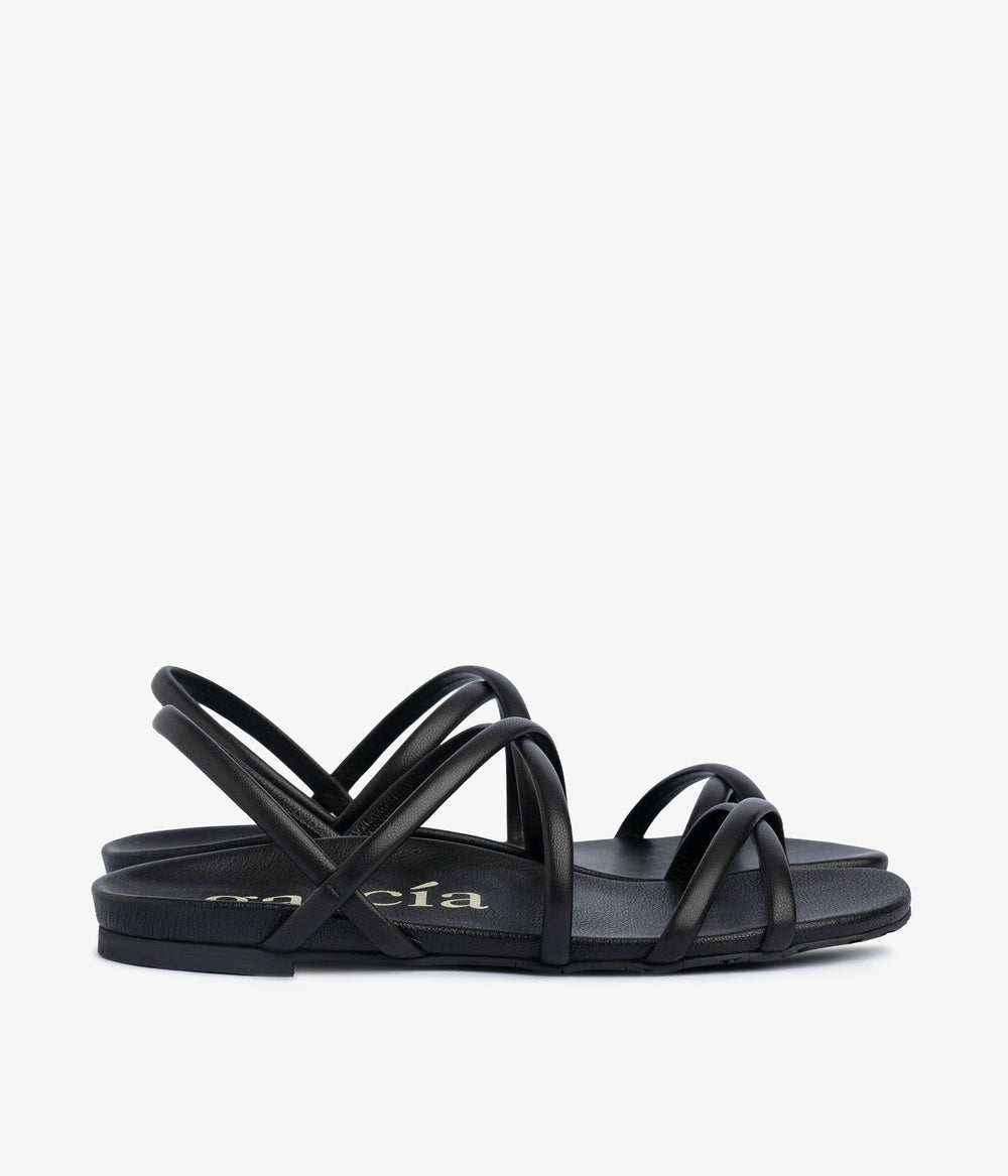 biddy / black caprine