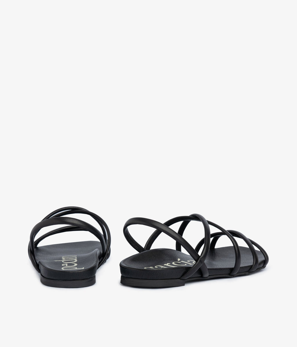 biddy / black caprine