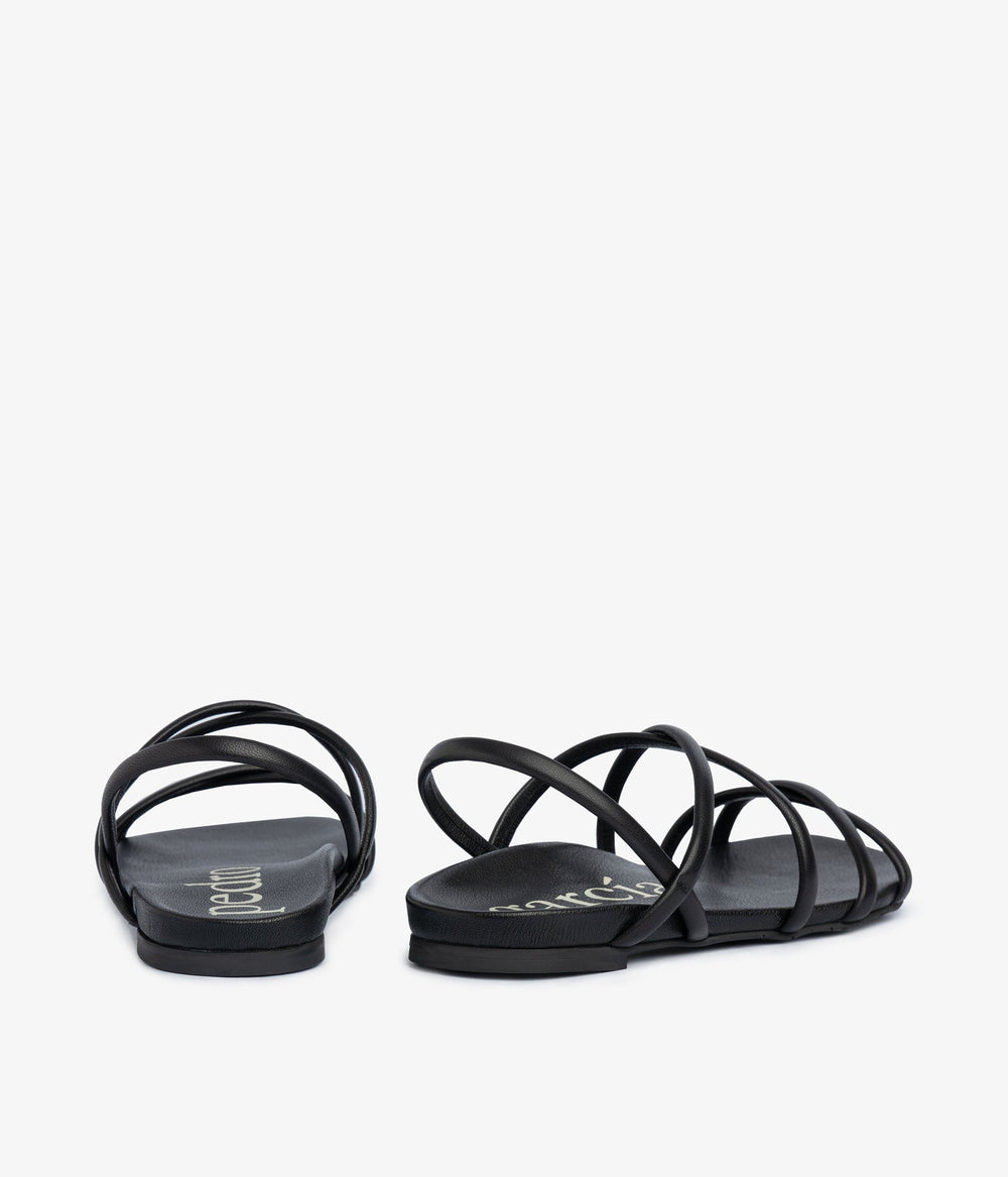 biddy / black caprine