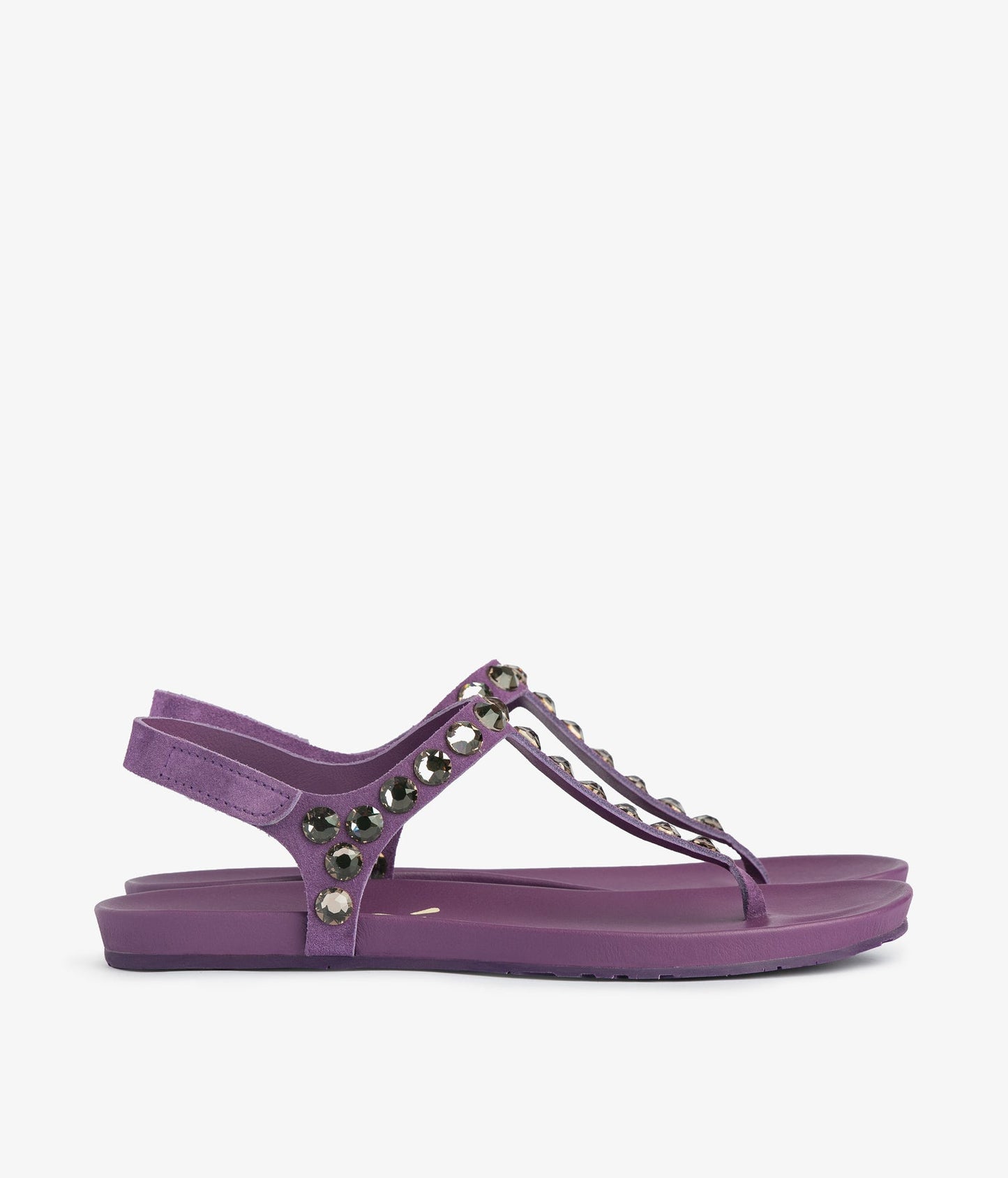 judith / pansy castoro