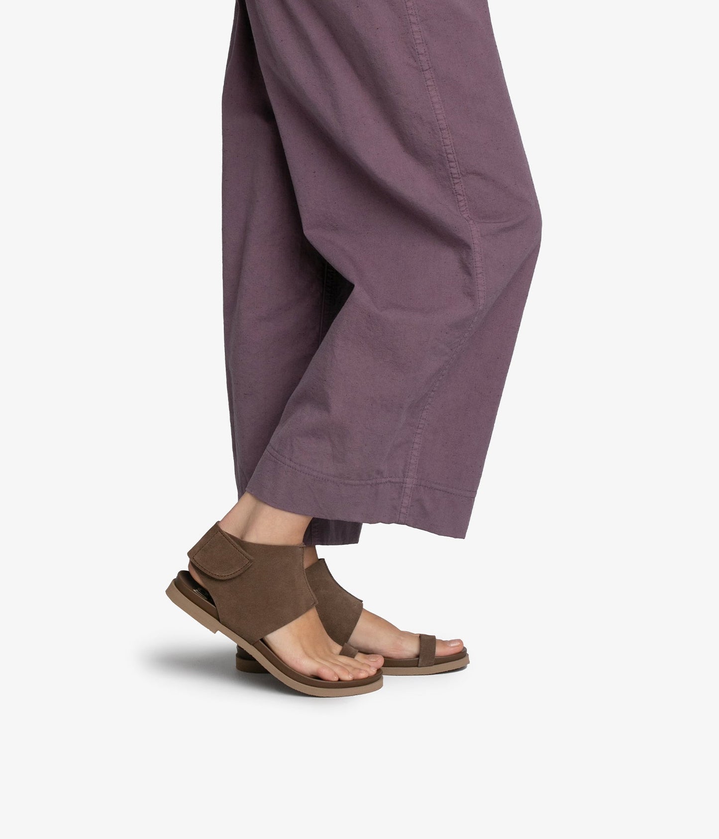 vania / chocolat castoro