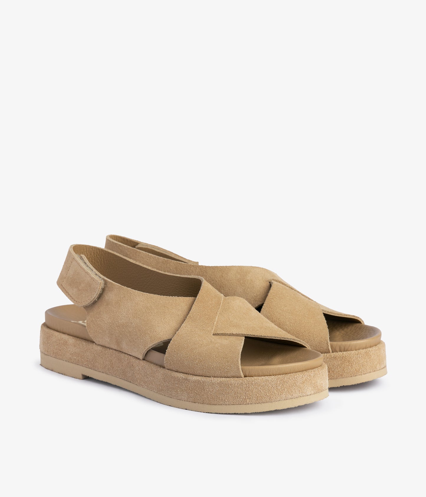 jaile / dijon castoro