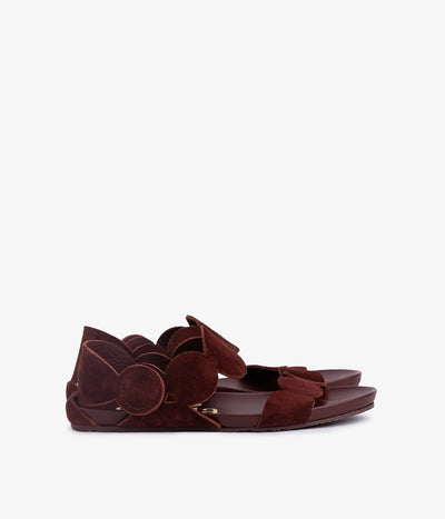 jeanne / brunette catoro