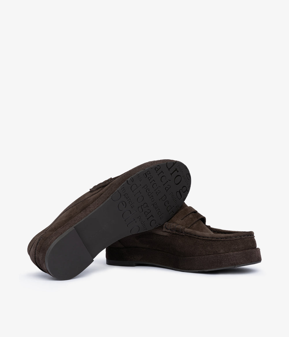 sergia / brown castoro