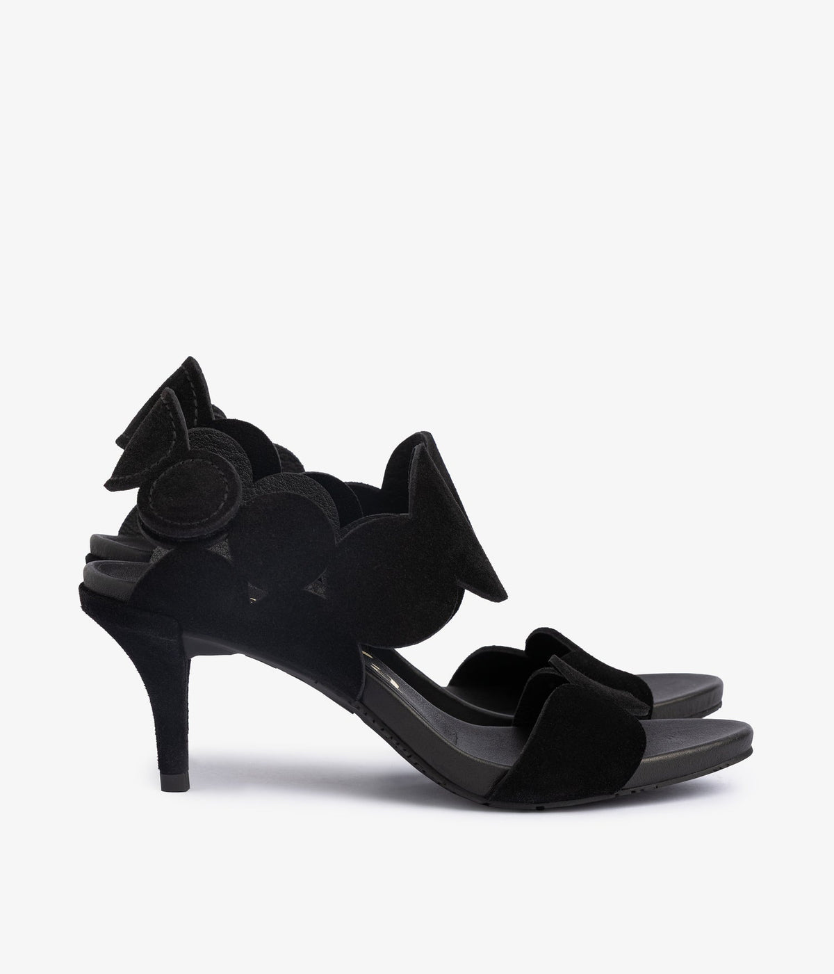 winslet / black castoro