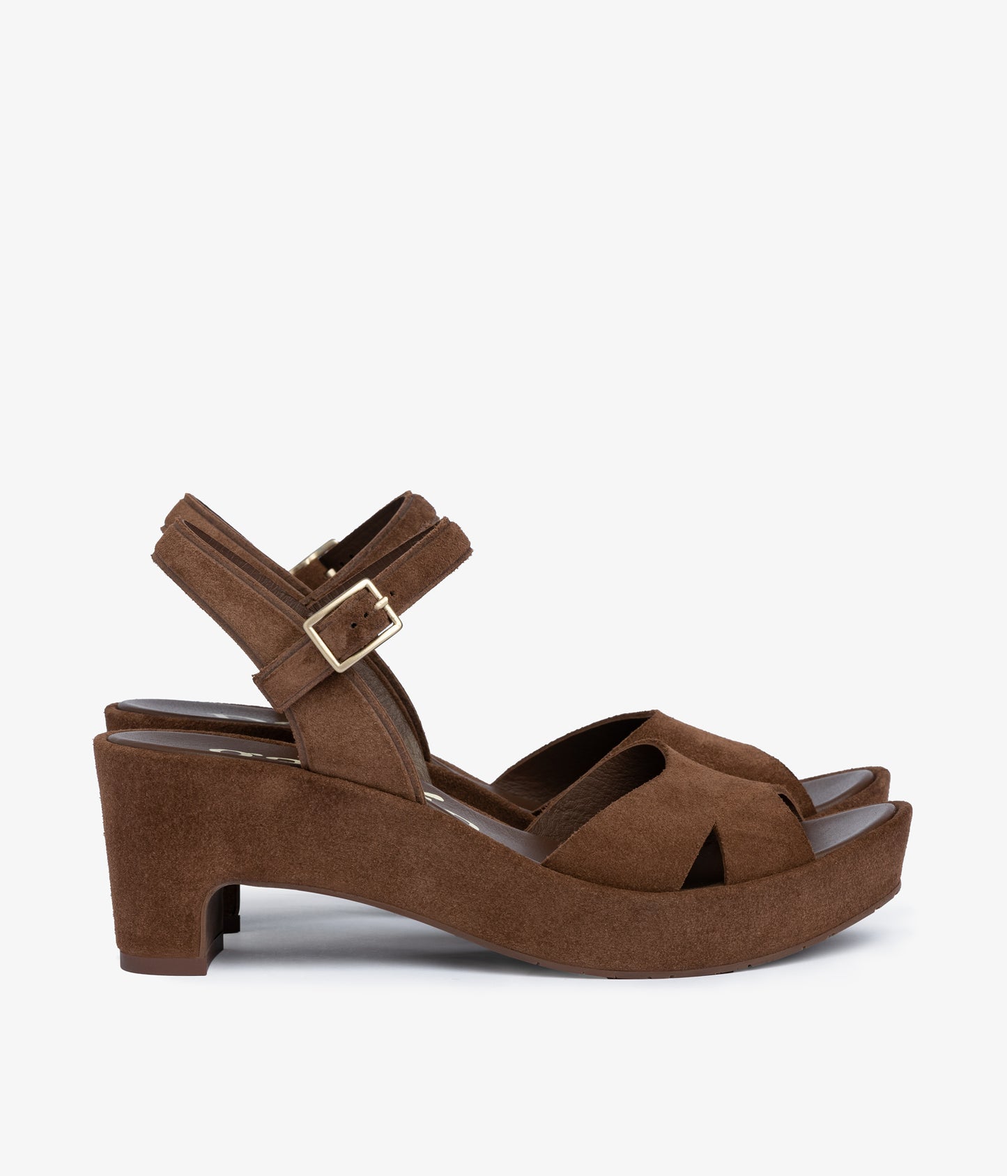 dido / chestnut castoro