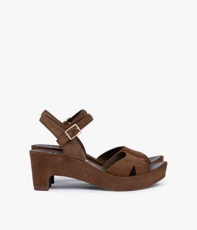 dido / chestnut castoro