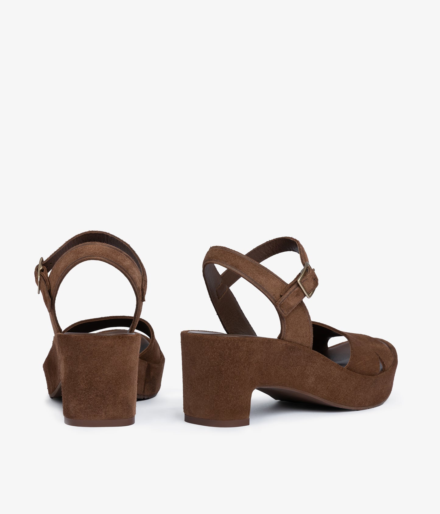 dido / chestnut castoro