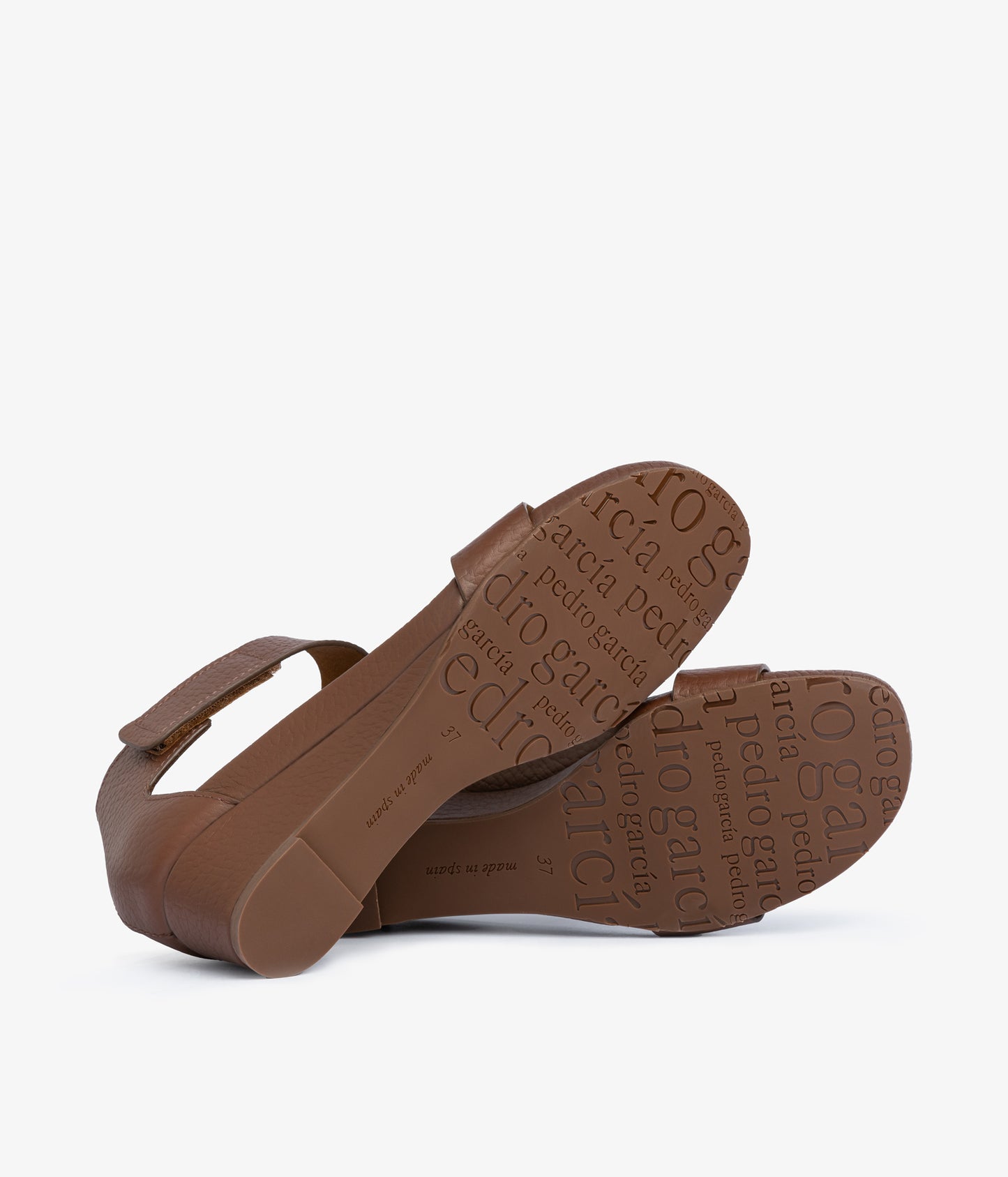 wassila / chestnut cervo