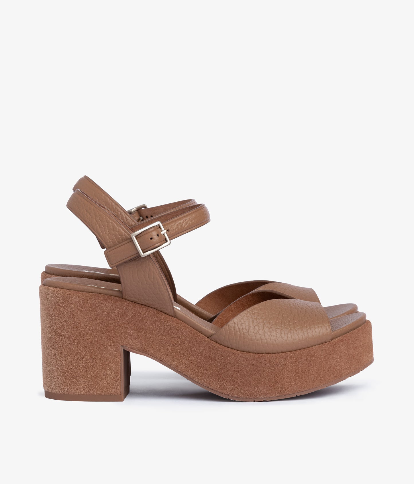 doina / adobe cervo