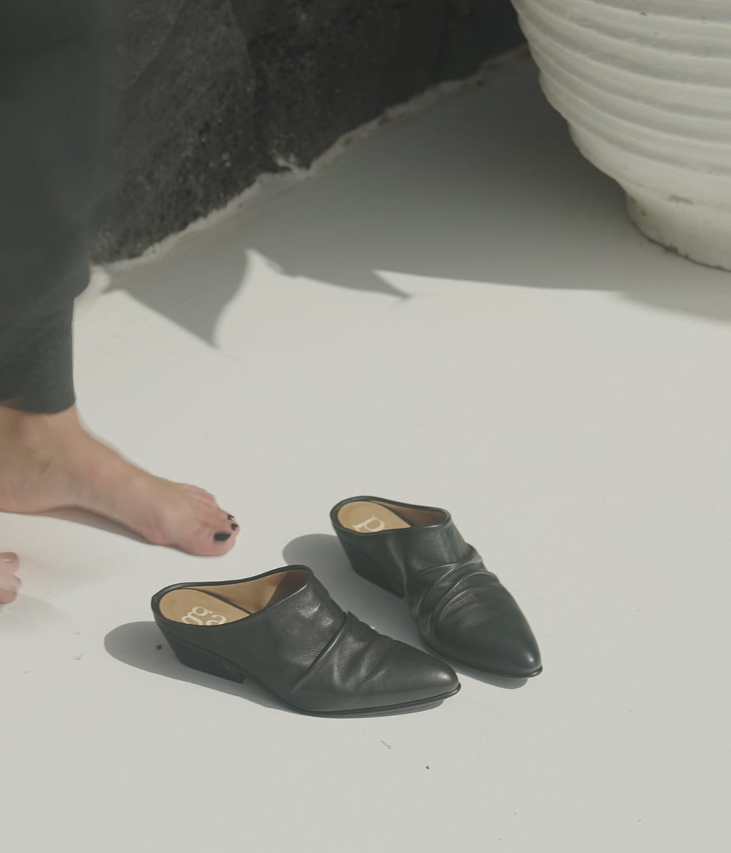 helenka / black clarabelle