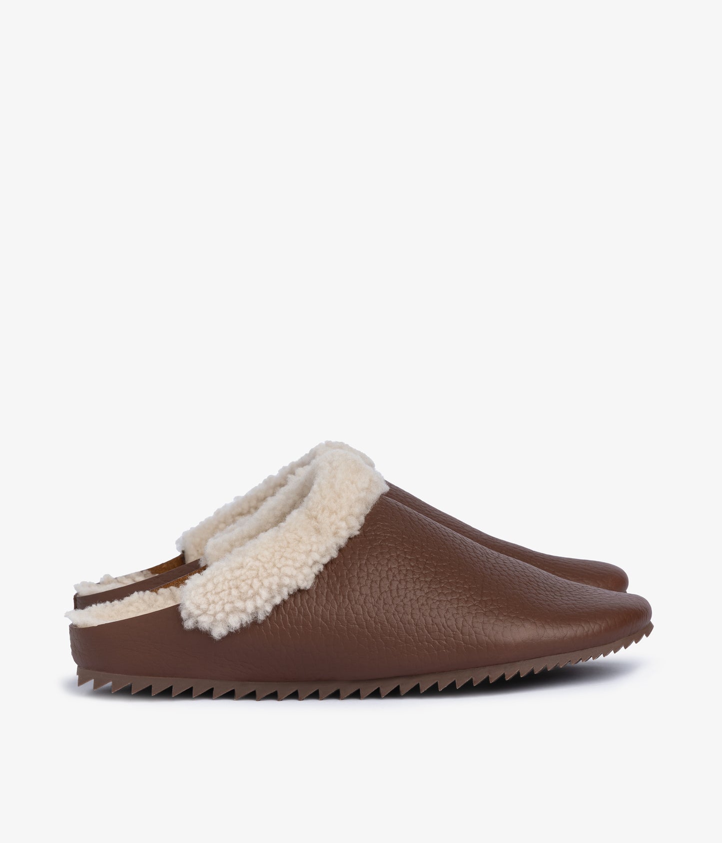 banda / chestnut cervo