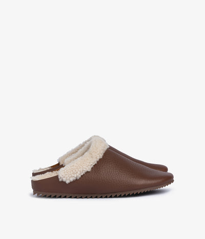 banda / chestnut cervo