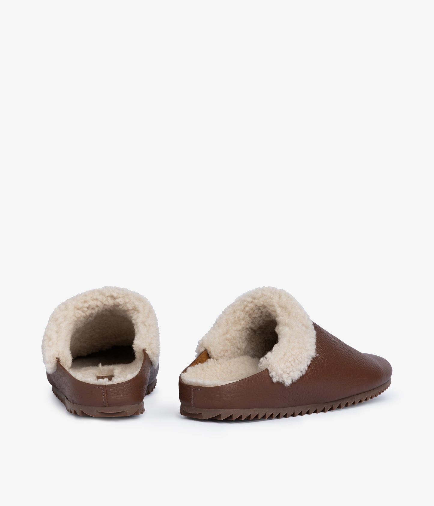 banda / chestnut cervo