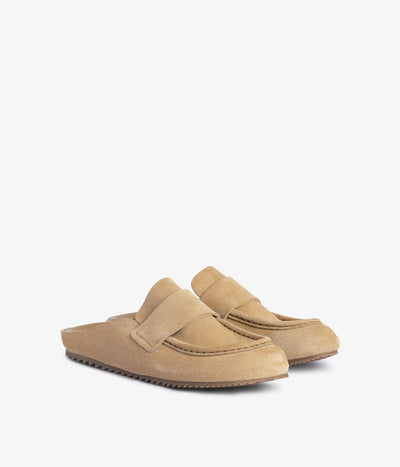 bilma /  dijon castoro