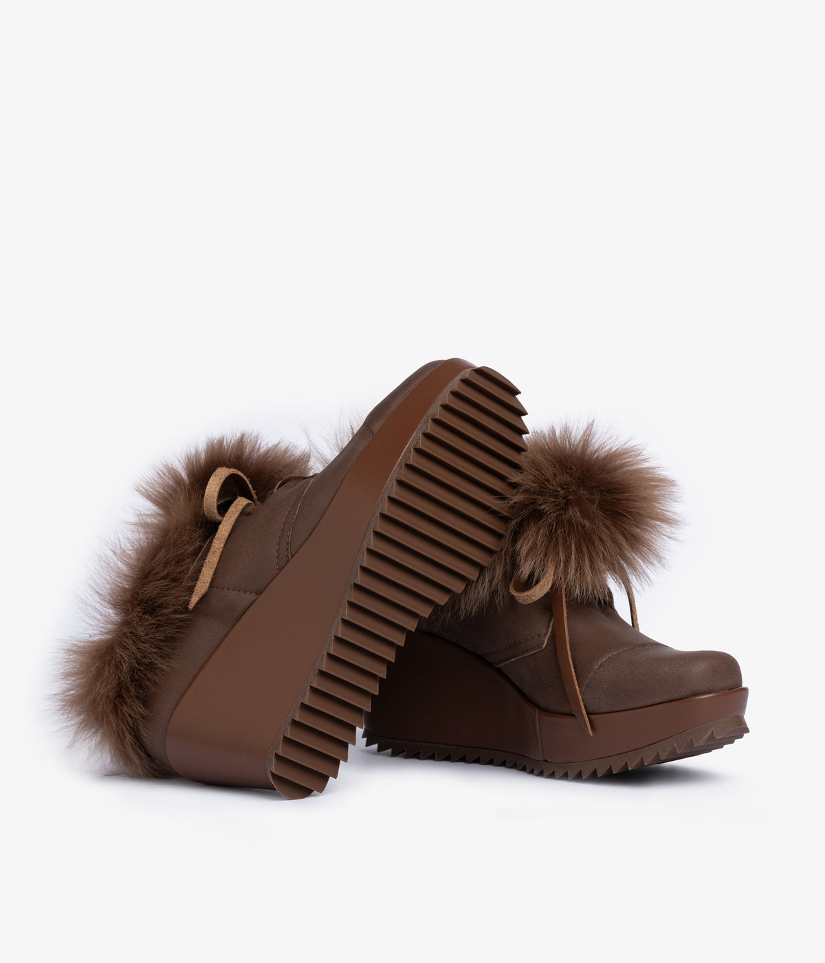 fidela / chestnut churra