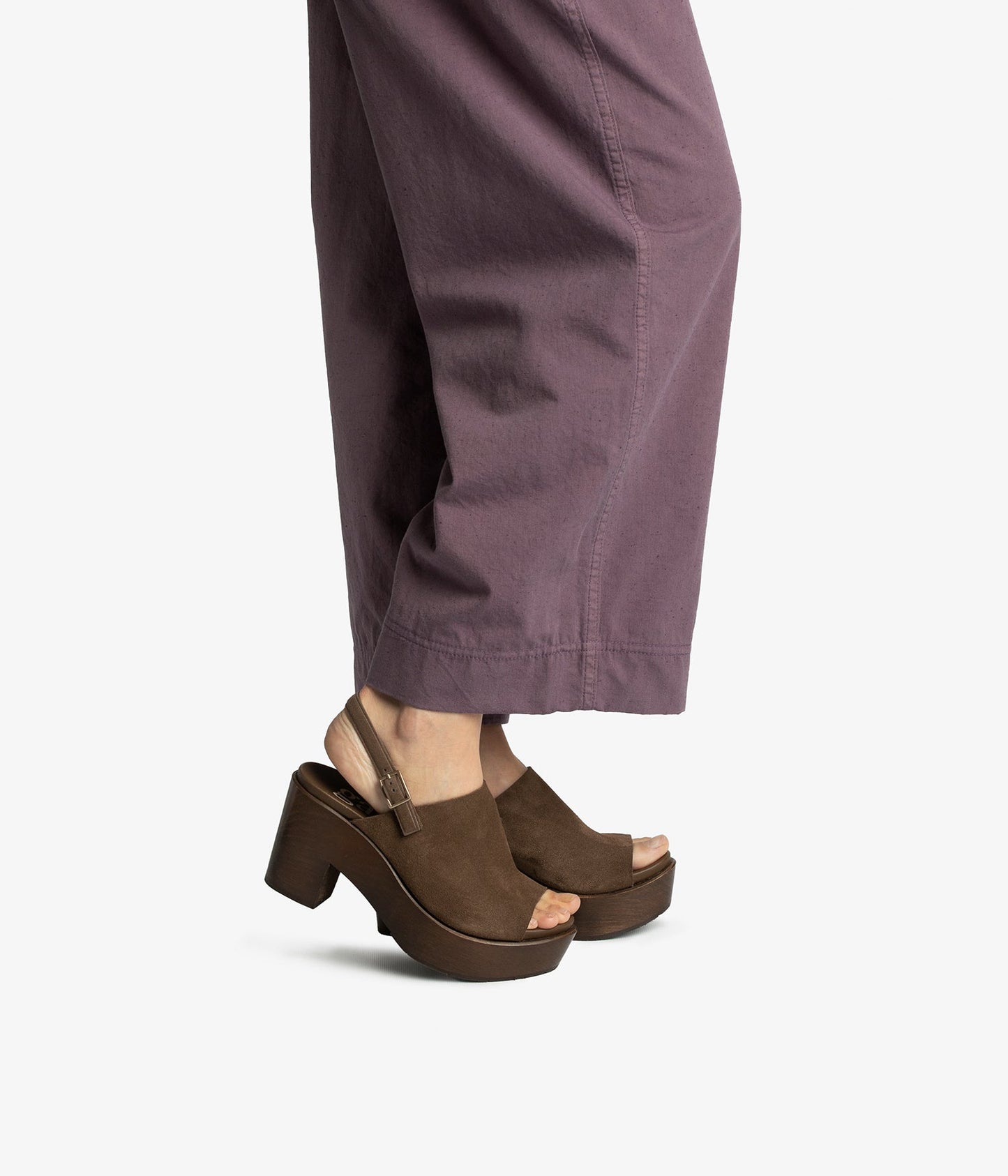 daura / chocolat castoro-chocolat pine