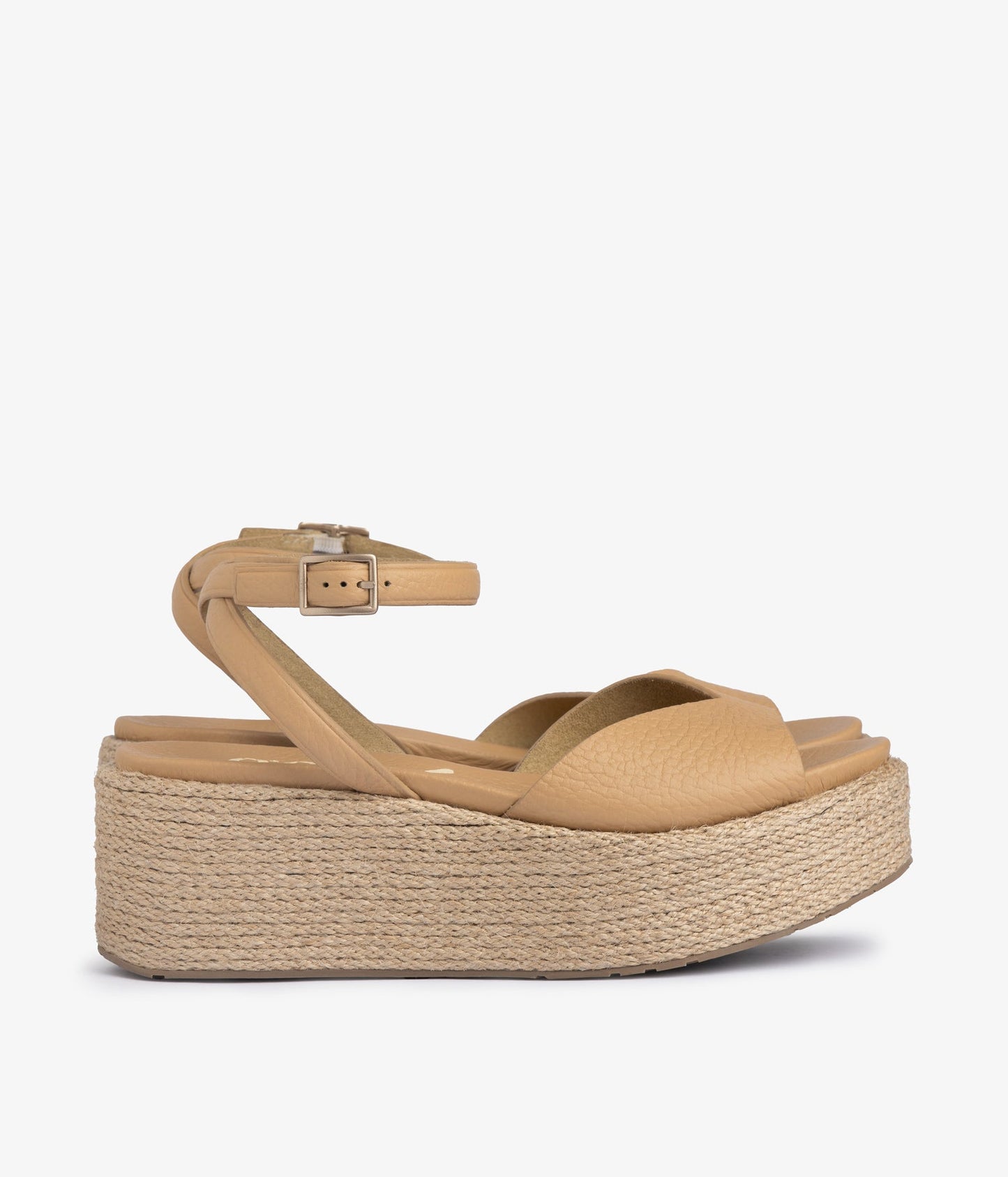 nereida / camel cervo