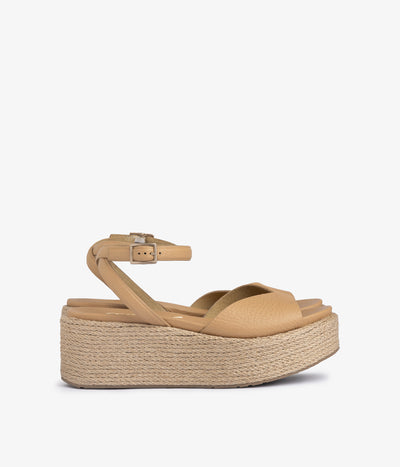 nereida / camel cervo