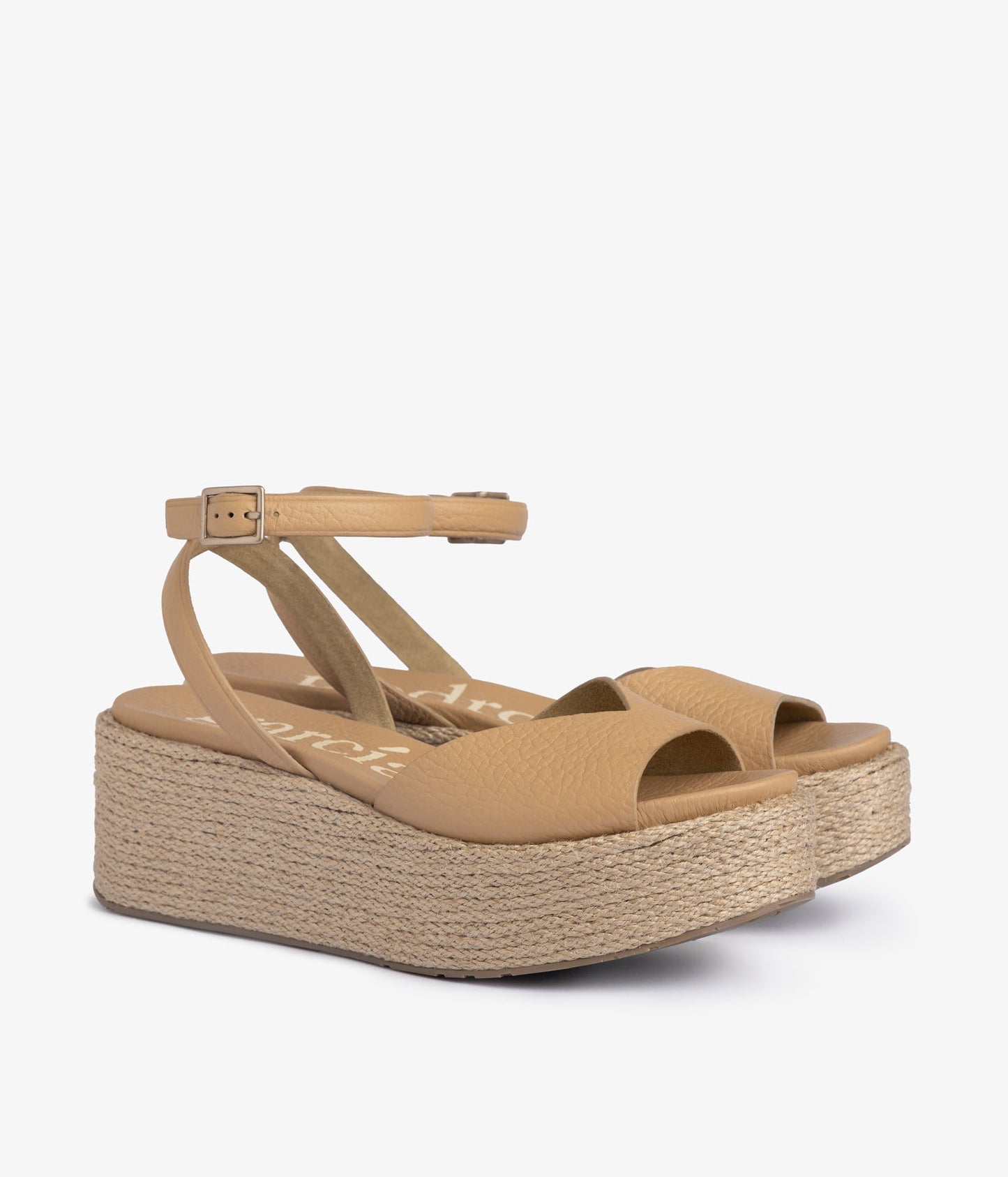 nereida / camel cervo