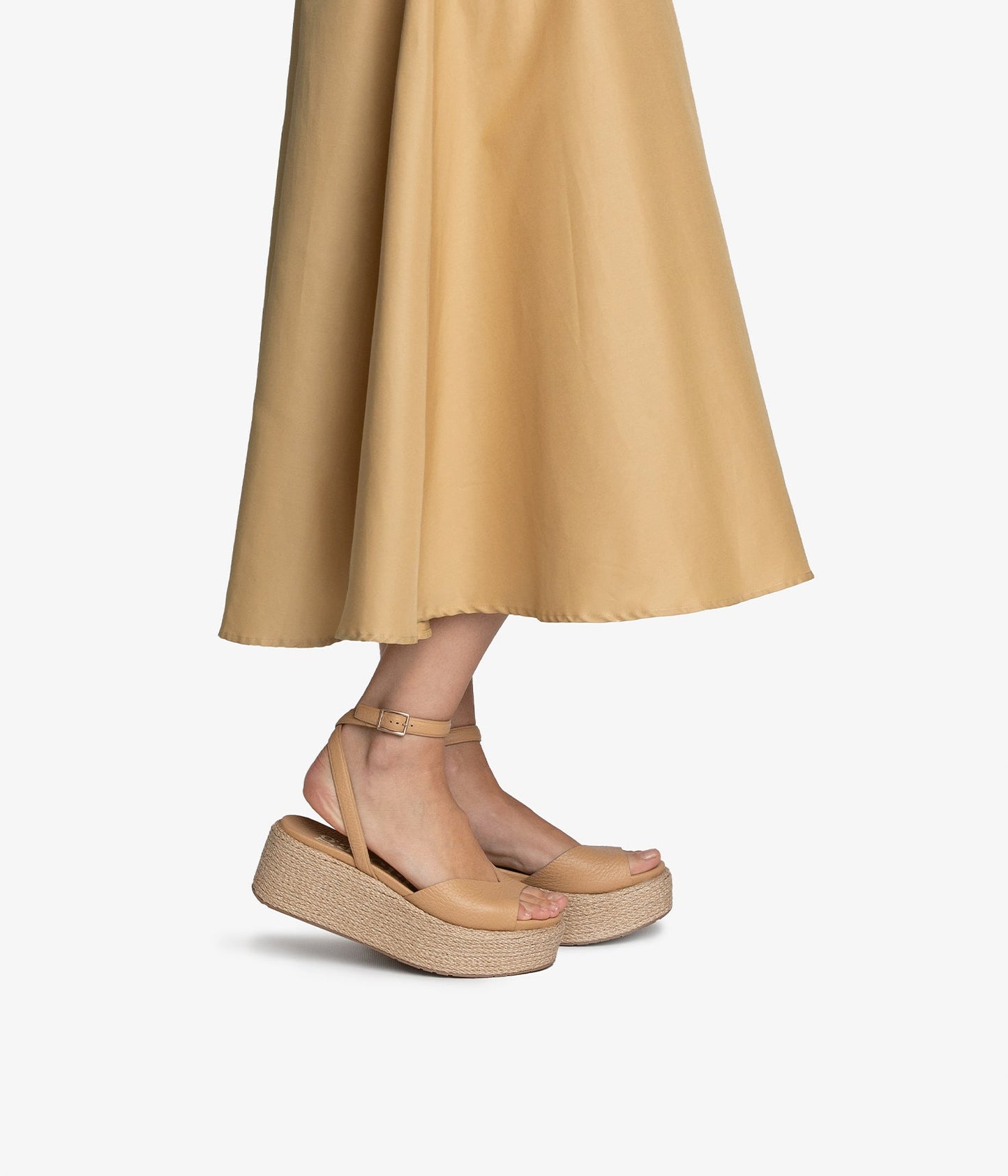 nereida / camel cervo