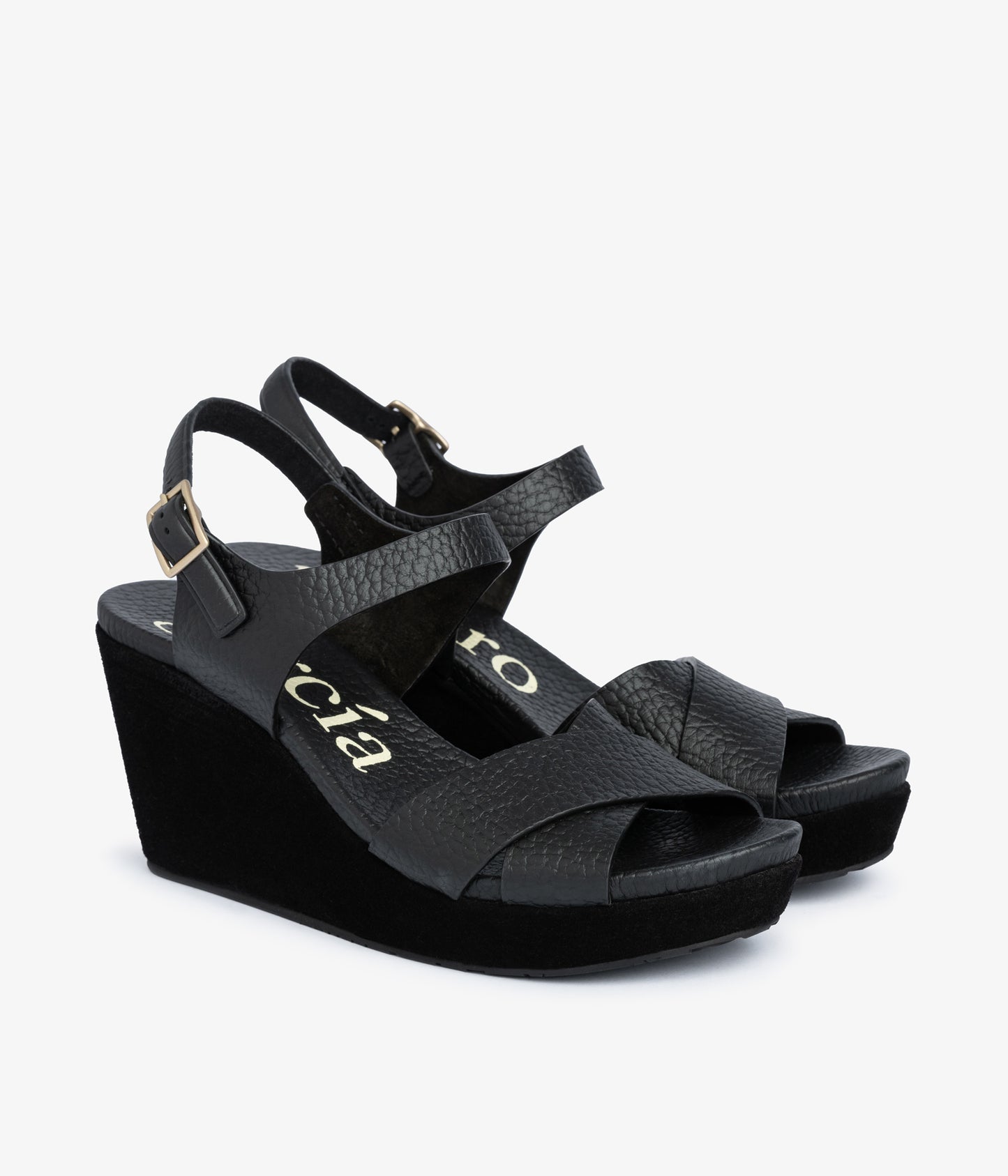 aleyda / black cervo