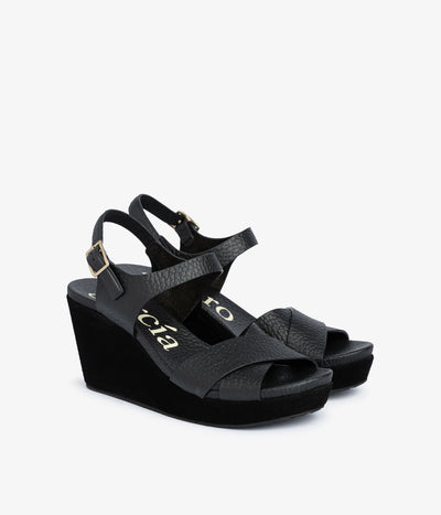 aleyda / black cervo