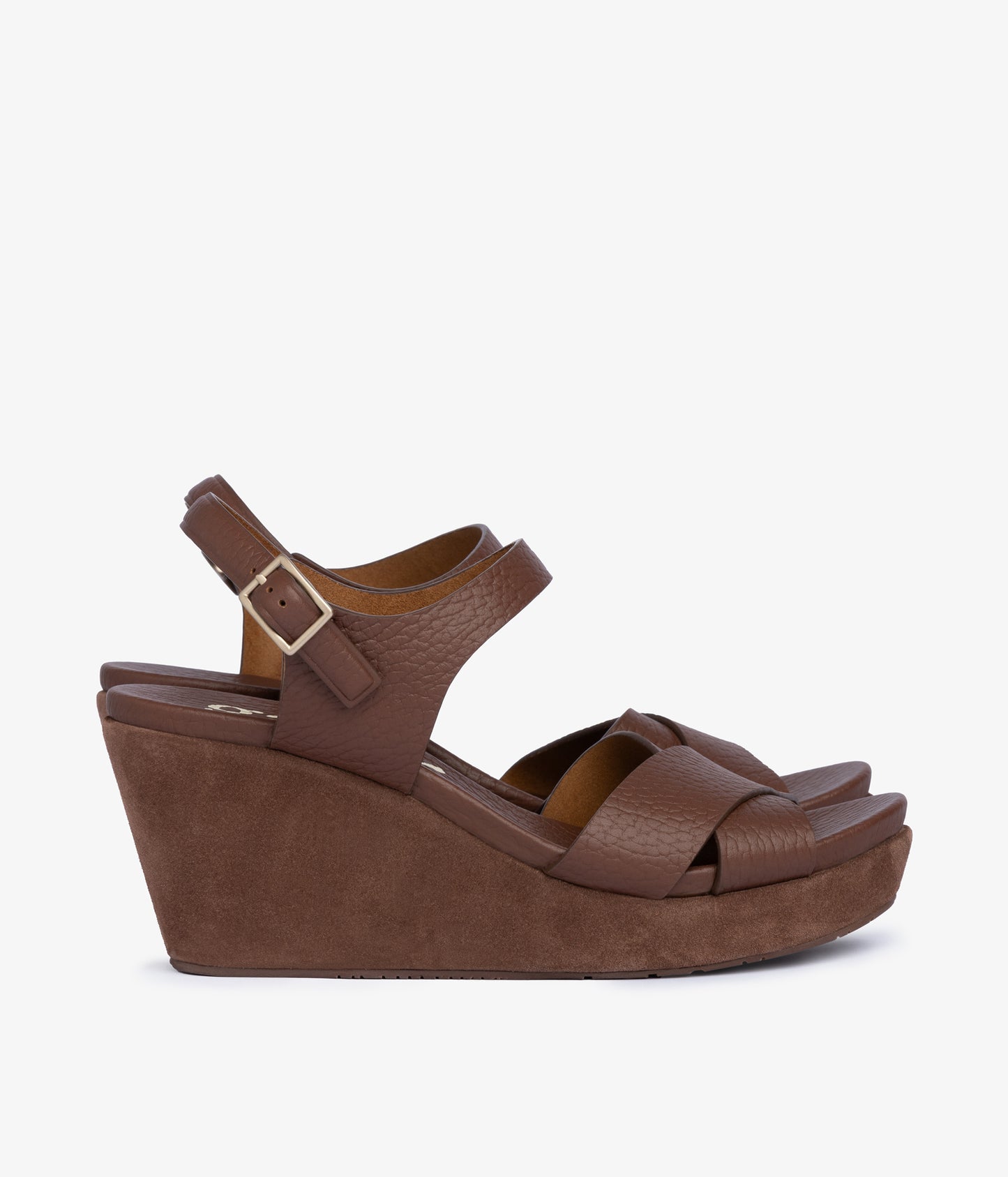 aleyda / chestnut cervo