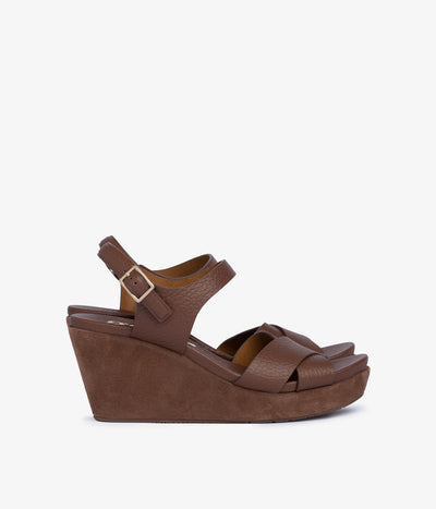 aleyda / chestnut cervo