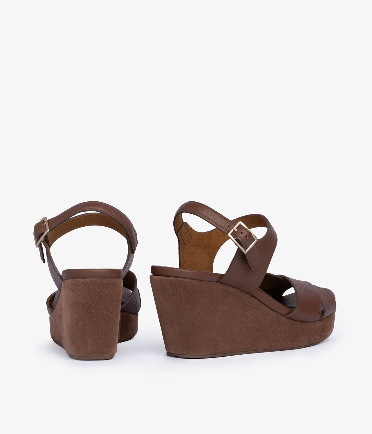aleyda / chestnut cervo