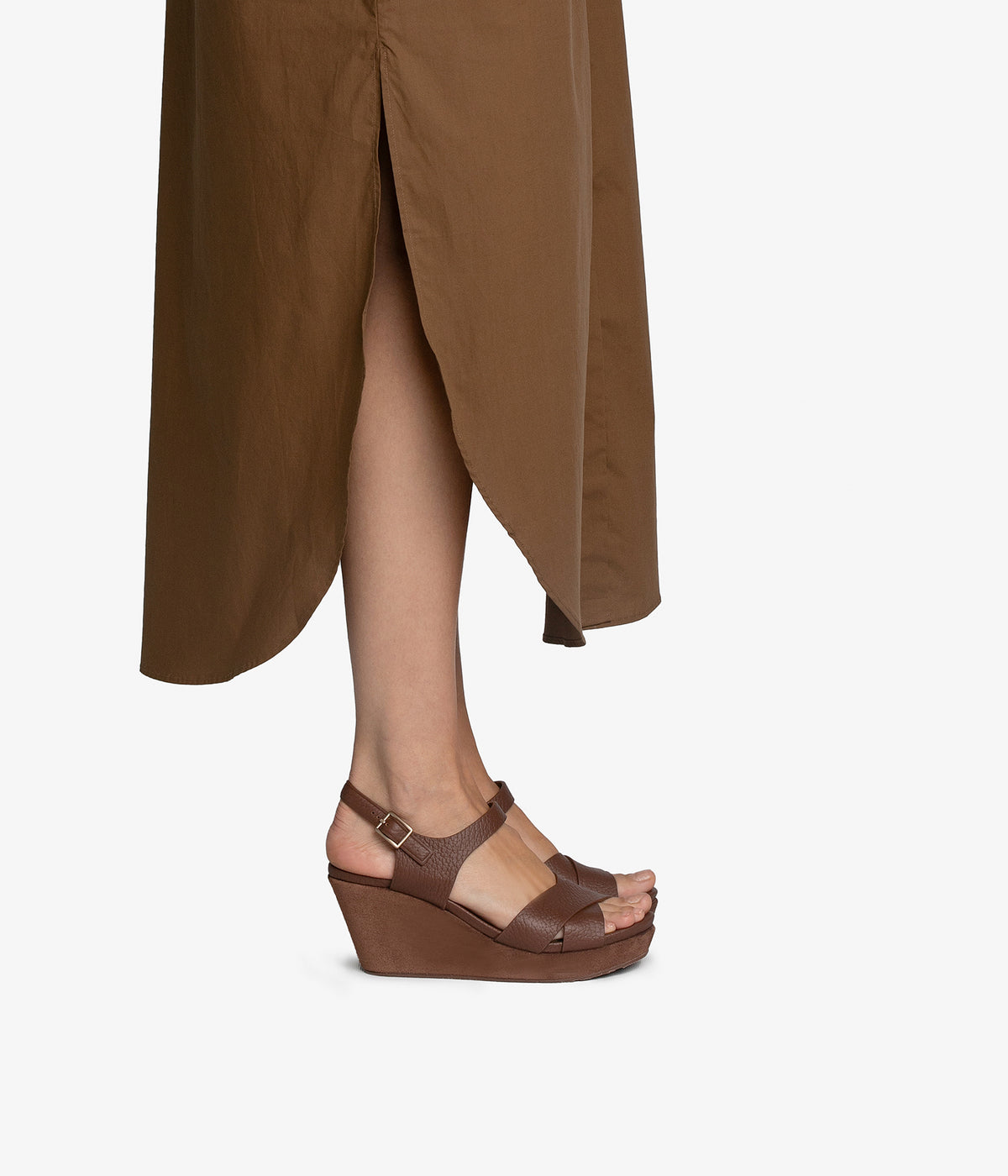 aleyda / chestnut cervo