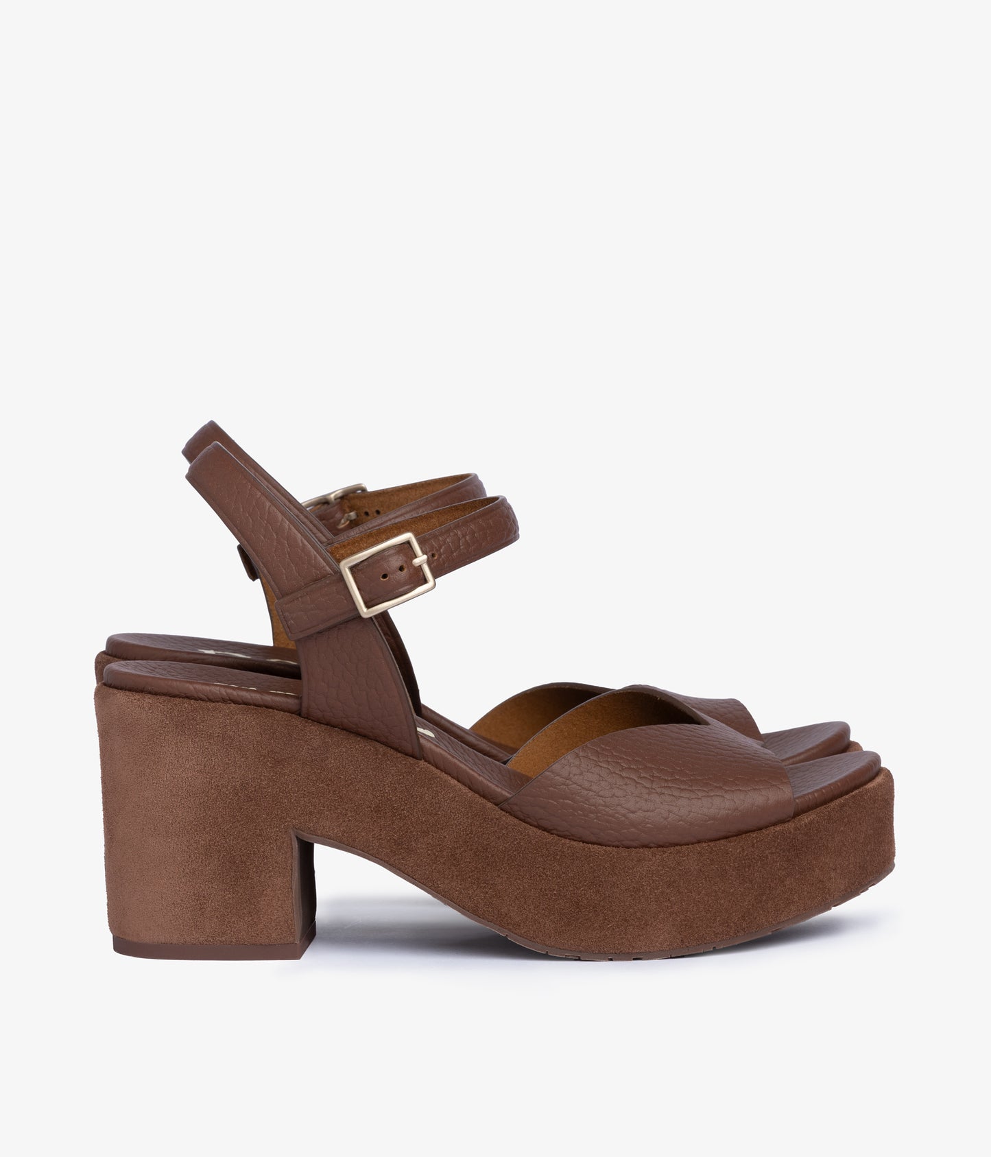 doina / chestnut cervo