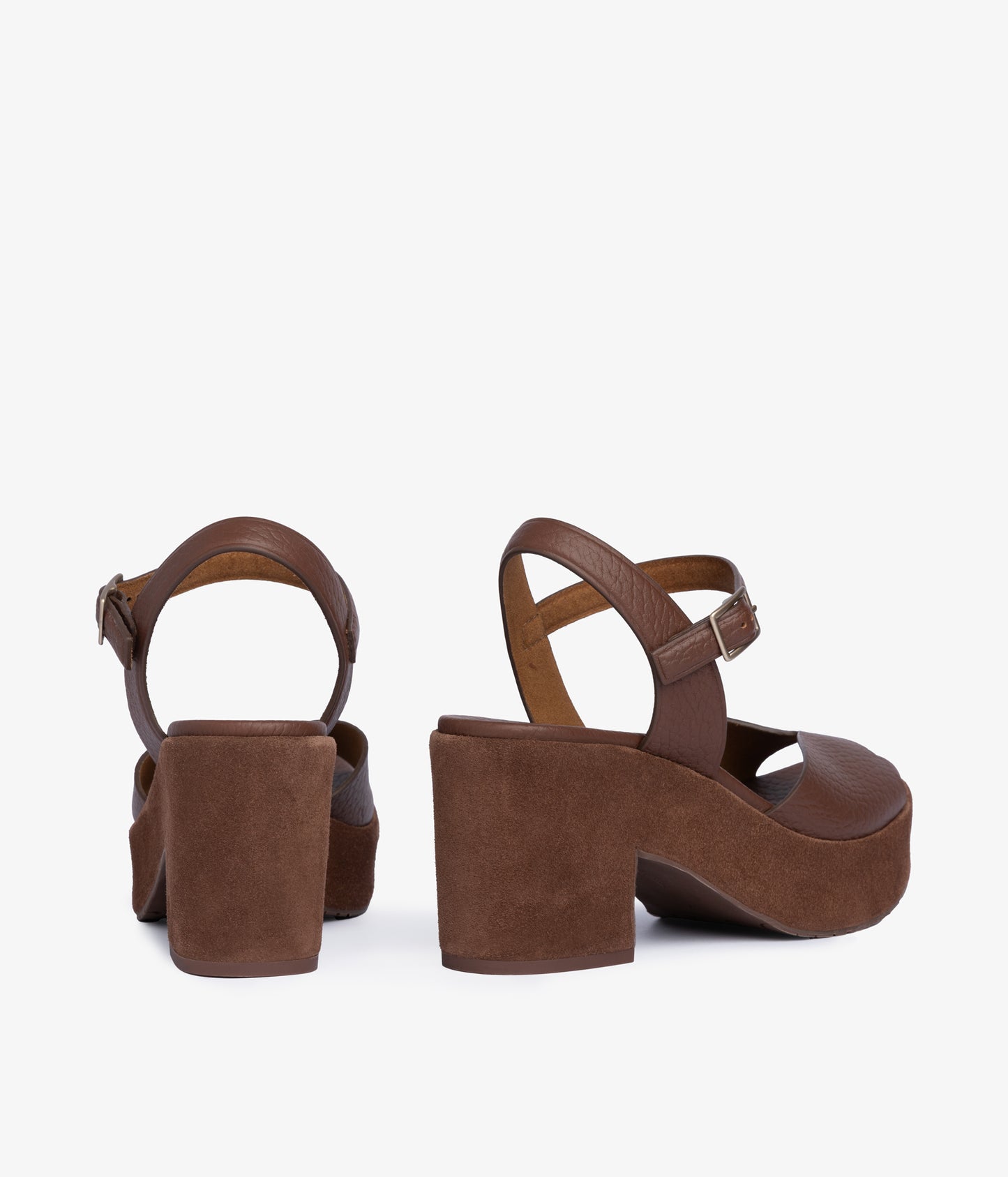 doina / chestnut cervo