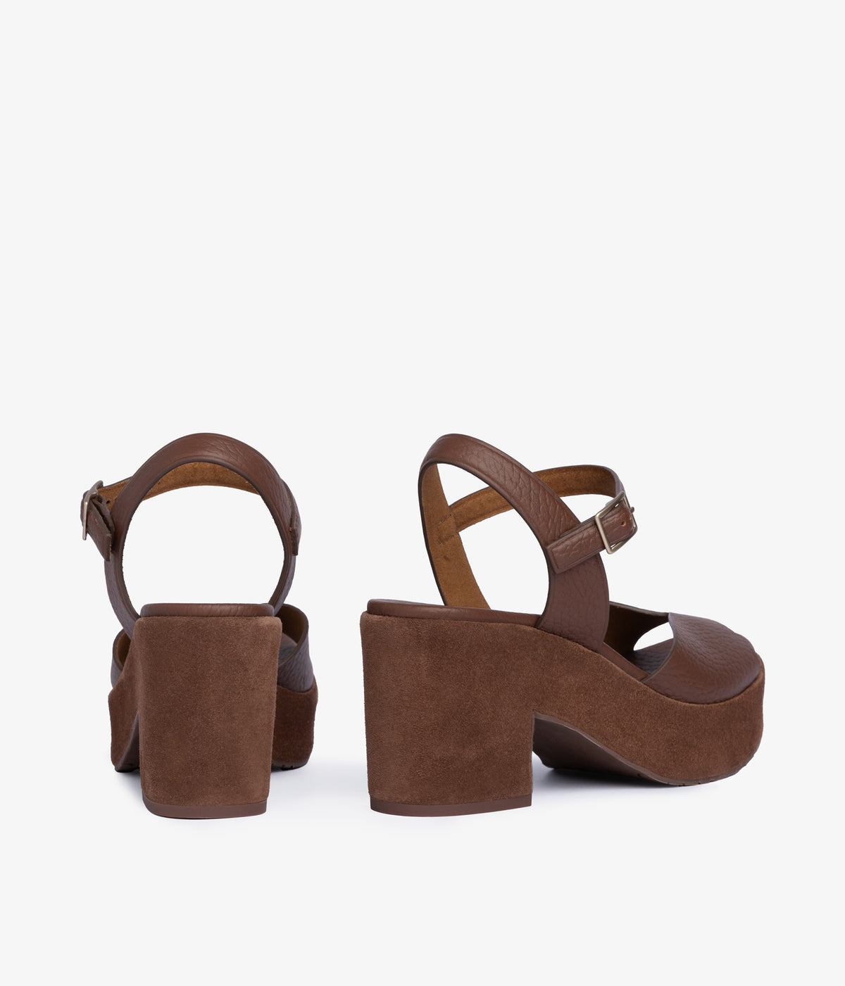 doina / chestnut cervo