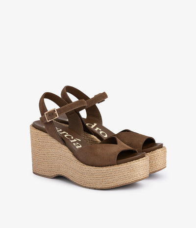 doina / chocolat castoro